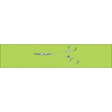 Artery Forceps 1