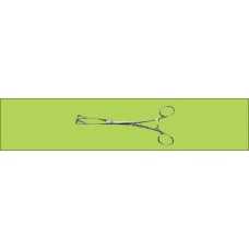 Lung Forceps 1