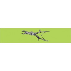 Rib Shears