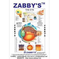 ZABBYS EYE CHART FOR PATIENT EXPLANATION - PRICE INCLUDES PACKING AND FREIGHT